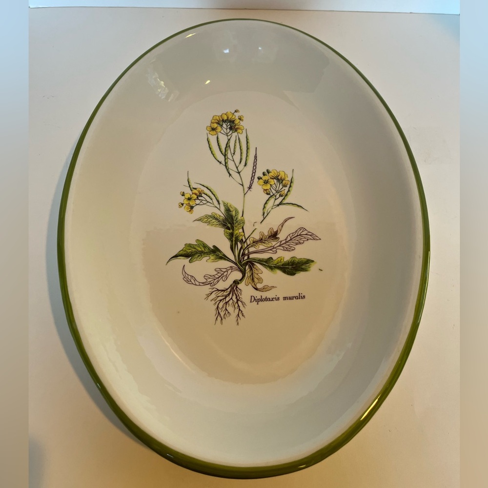 Vintage Italian Large Ceramic Bowl/Platter Featuring a Botanical Illustration